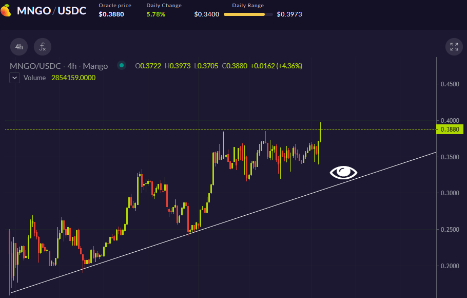 DexSurfer tweet media