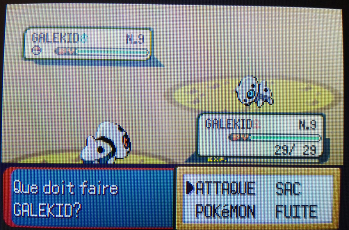 ItsAlpha_2_0's tweet photo. [Shiny Marathon]
Je tape enfin mon second point pour le marathon avec @JuVideoFe !
Après 35 349 rencontres, ma cible est apparue. Et mama qu'elle est belle... 🤍 https://t.co/67uiRbmJCG