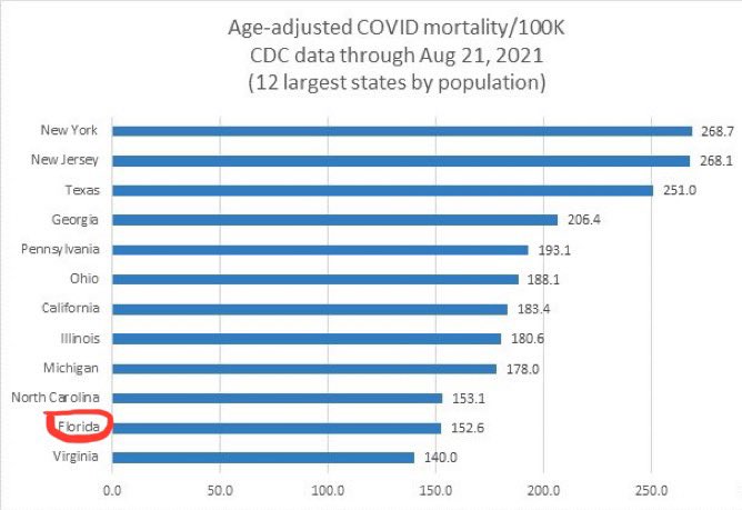 Cairo Zeppelin tweet media