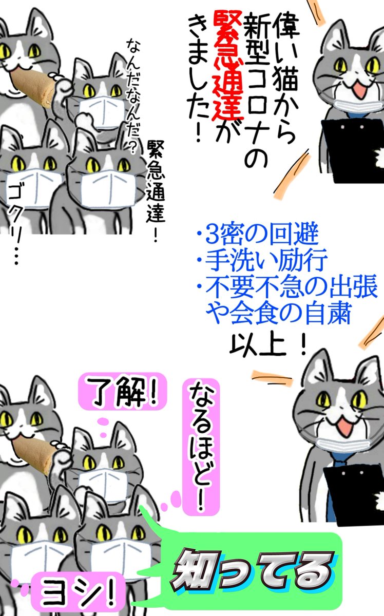 会社の「緊急通達」の濃度、子ども時代のカルピスのごとく激薄になっている #現場猫 