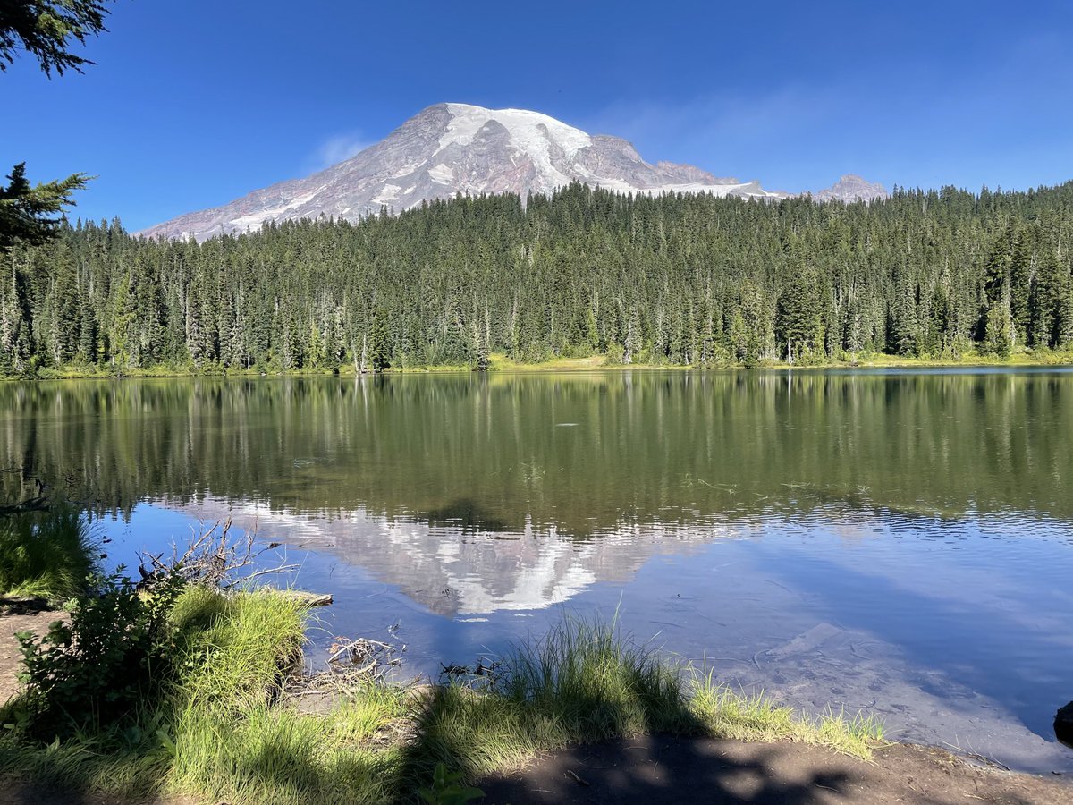 ramprasad_c's tweet photo. Time to reflect. #reflectionslake #MtRainier https://t.co/dOXnfJ3pqQ