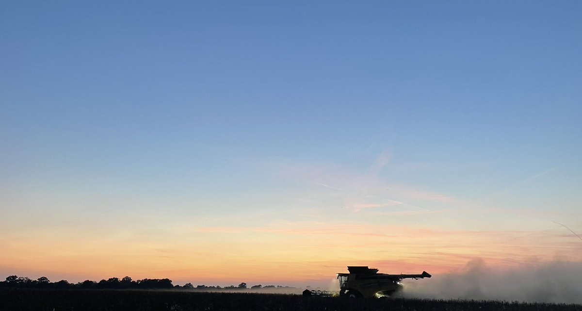 Harvest 2021 still going with Vespa Beans coming off nicely. With plenty of dust. #harvest21 <a href="/AgrovistaUK/">Agrovista UK</a> @NewHollandAG <a href="/ebbageseeds/">Ebbage Seeds</a>