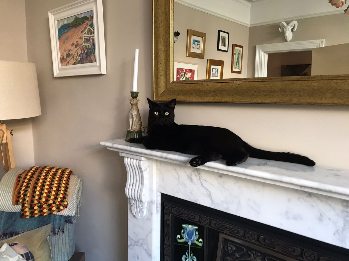 Great day spent with the Liskeard CAMHS Team then home to be welcomed by this gorgeous chap