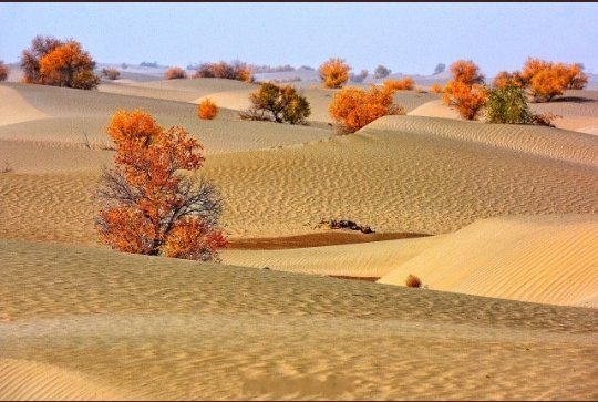 Пустыня такла макан в какой части света. Пустыня Такла Макан. Китайская пустыня Такла-Макан. Пустыня в Китае Такла Макан. Река Такла Макан.