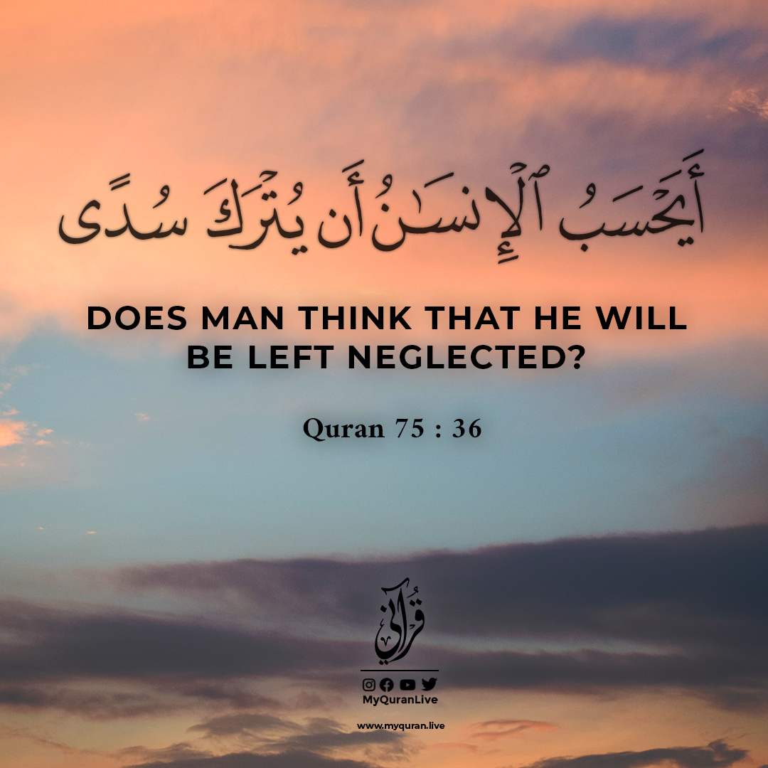 To‘rt oyoqqa tur, yirtqich hayvon, men seni hozir eshakdan sikaman.