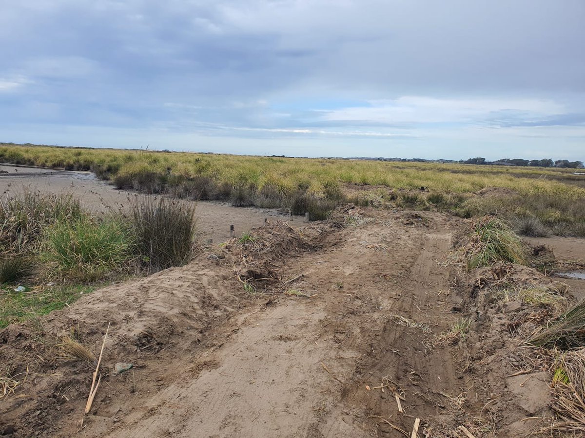 diegolunaq's tweet photo. Ministro @juancabandie están arrasando con la Reserva Natural de Punta Rasa. Es urgente que  @AmbienteNacion y  @opds_gba tomen acción decidida para frenar esta intervención y resguardar el área protegida @jibrardi https://t.co/E8Fj8eAuw2