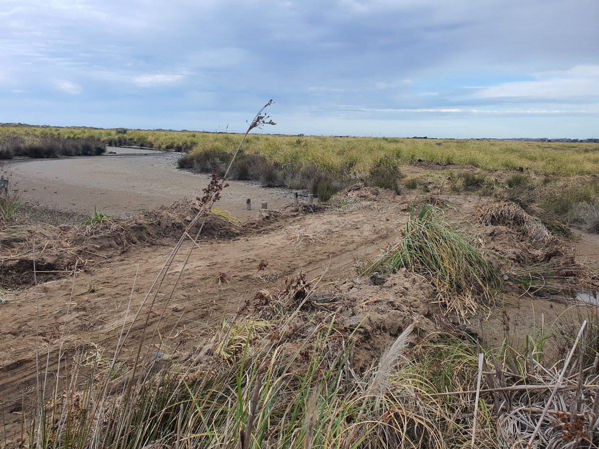diegolunaq's tweet photo. Ministro @juancabandie están arrasando con la Reserva Natural de Punta Rasa. Es urgente que  @AmbienteNacion y  @opds_gba tomen acción decidida para frenar esta intervención y resguardar el área protegida @jibrardi https://t.co/E8Fj8eAuw2