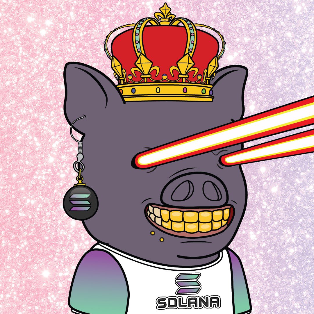 Piggy Sol Gang 🐽 tweet media