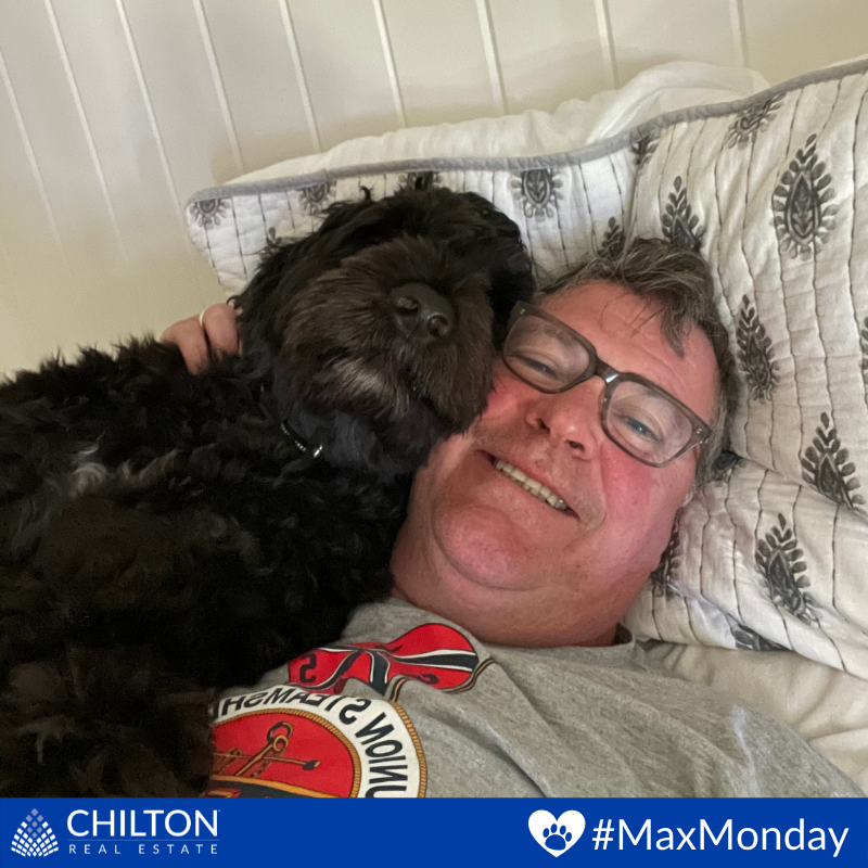 TheChiltonTeam's tweet image. 🐾🐶 Max is a little tuckered out from the long weekend! We hope you all enjoyed as much as Max did 😎

#MaxMonday #PuppyLove #RuffPost #DogsAreTheBest #MyDogIsFunny #FloppyEars #Dogs #Dog #DogLover #DogFriendly #PortugueseWaterDog #LifeofMax #NotASponsor