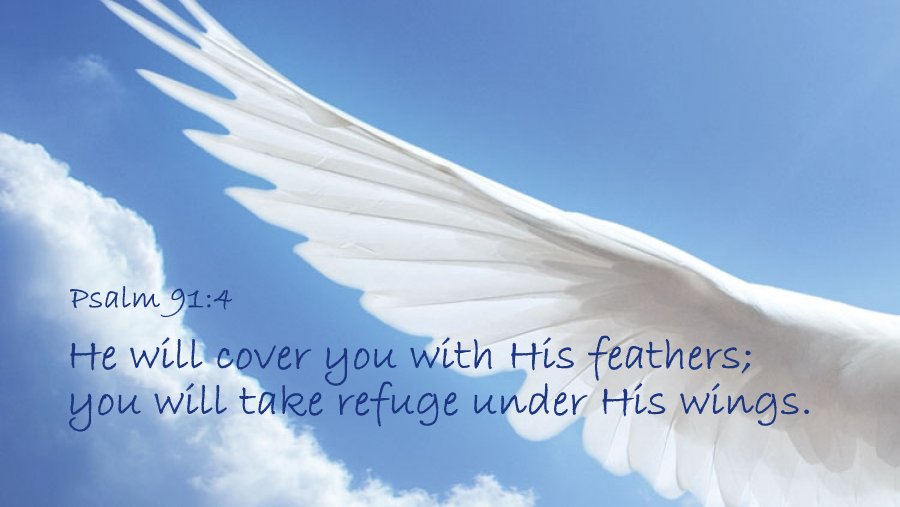 Bible Line バイブルライン On Twitter He Will Cover You With His Feathers You Will Take Refuge Under His Wings Psalm 91 4 Hcsb 主はその羽をもって あなたをおおわれる あなたはその翼の下に 避け所を得るであろう 詩篇91 4 聖書 口語訳 Bible