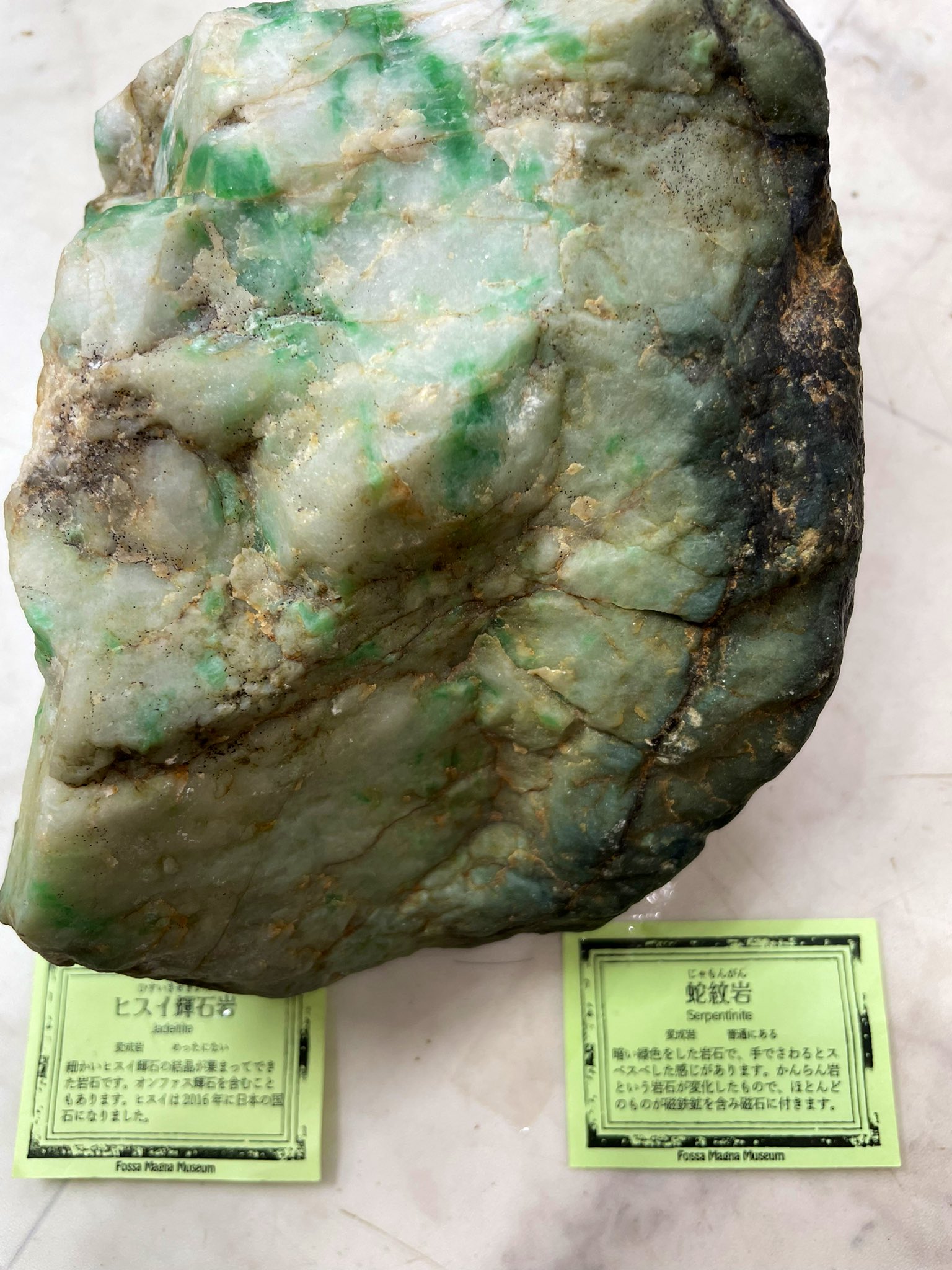 蛇紋岩　紫 蛇紋岩S（形状お任せ）｜苔（コケ）のインテリア コケリウム（苔