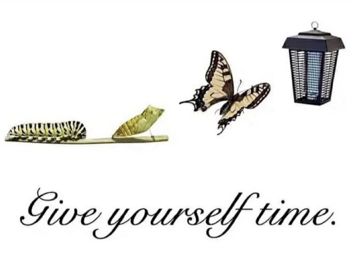 Phoebe Ryan tweet media