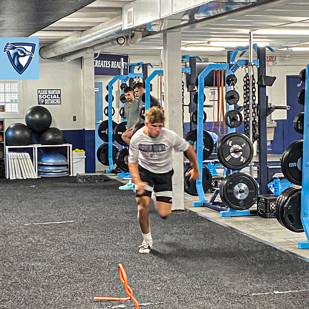 PeacockHoops's tweet photo. Back to work with @UIUStrength.💪

#PeacockHoops | #FeathersUp https://t.co/kEkKeJAkby