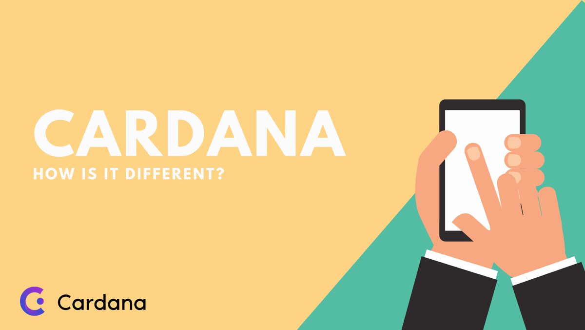 Cardana tweet media