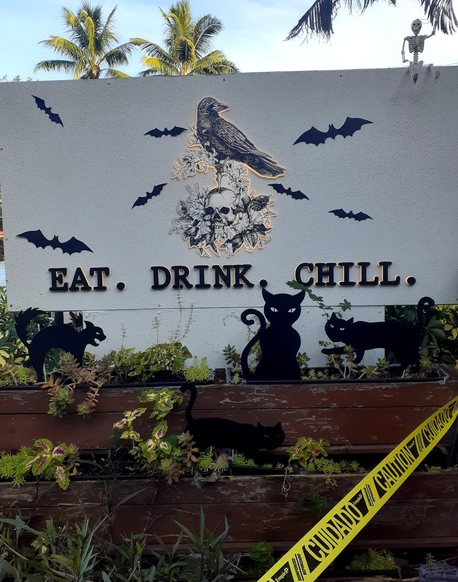 Death or Glory Bar tweet media