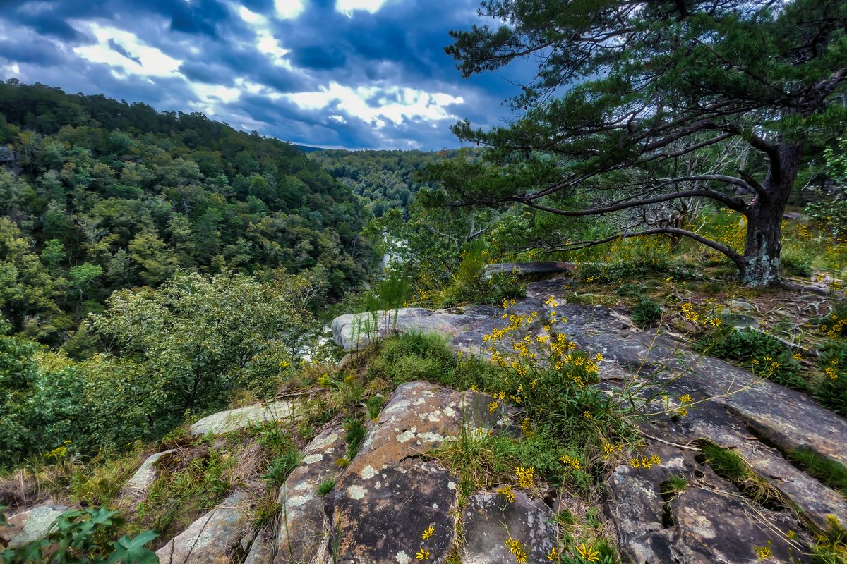 HankAllen's tweet image. This is at Little River Canyon near Fort Payne, AL.