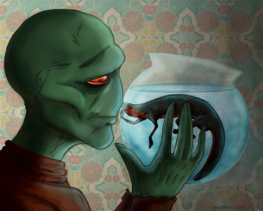 Rune got me a pet newt :O