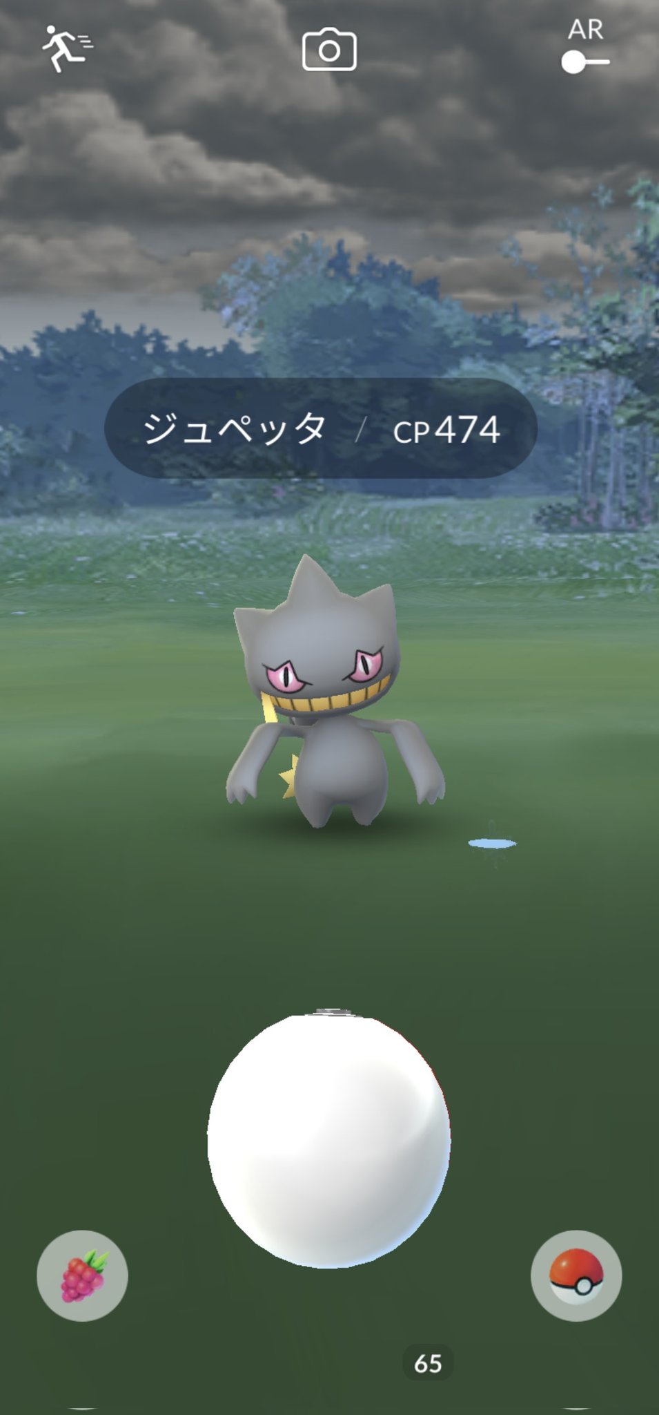 ℝ𝕦𝕟𝕠𖤐 ポケモンgo 低浮上気味 ポケモンgo ジュペッタ ポケモンgo開いた途端のジュペッタ しかも初ポケ 笑 T Co 9piri8fnhk Twitter