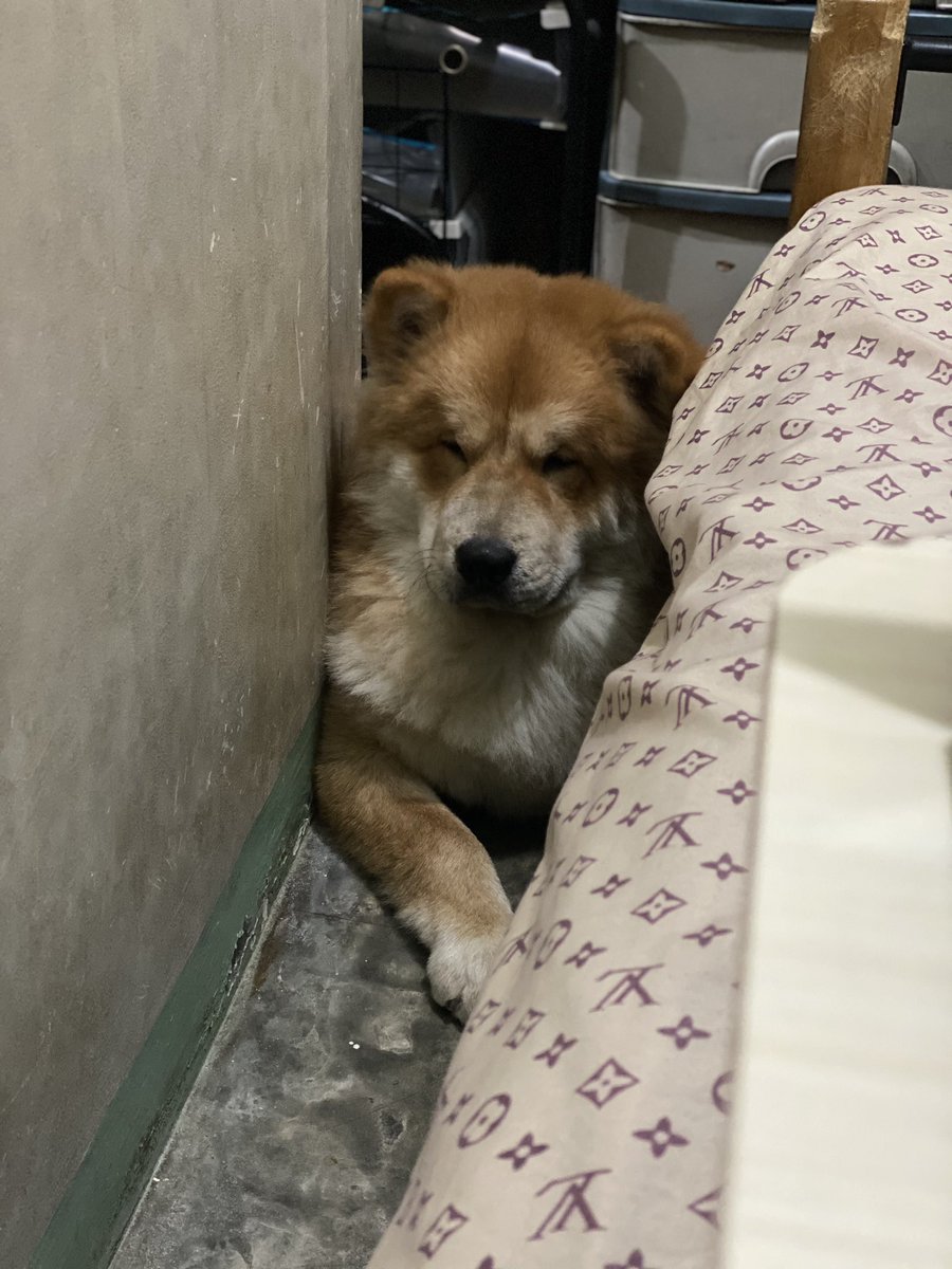 Aaronationn's tweet photo. Day 4 itsura ng buryong na buryong na sa bahay 🤯🤯 https://t.co/JmBAmNRt1z