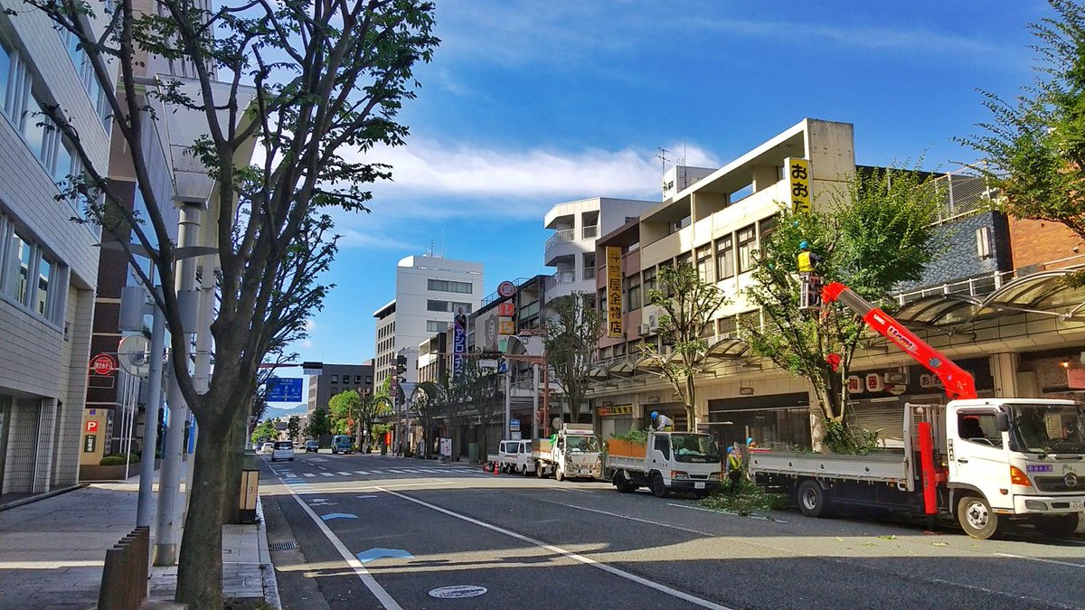 あげっこ あげつち稲荷市 休止中 On Twitter あげつち商店街 の街路樹が剪定されて サッパリしてきたコン 今日は久しぶりにスッキリしたお天気で気持ちがいいコンね