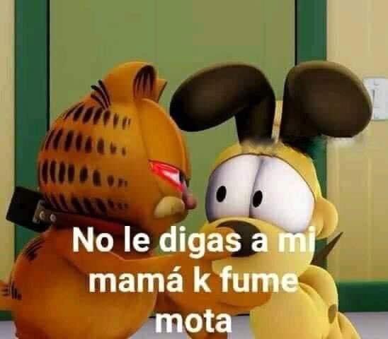 El Hornazo tweet media