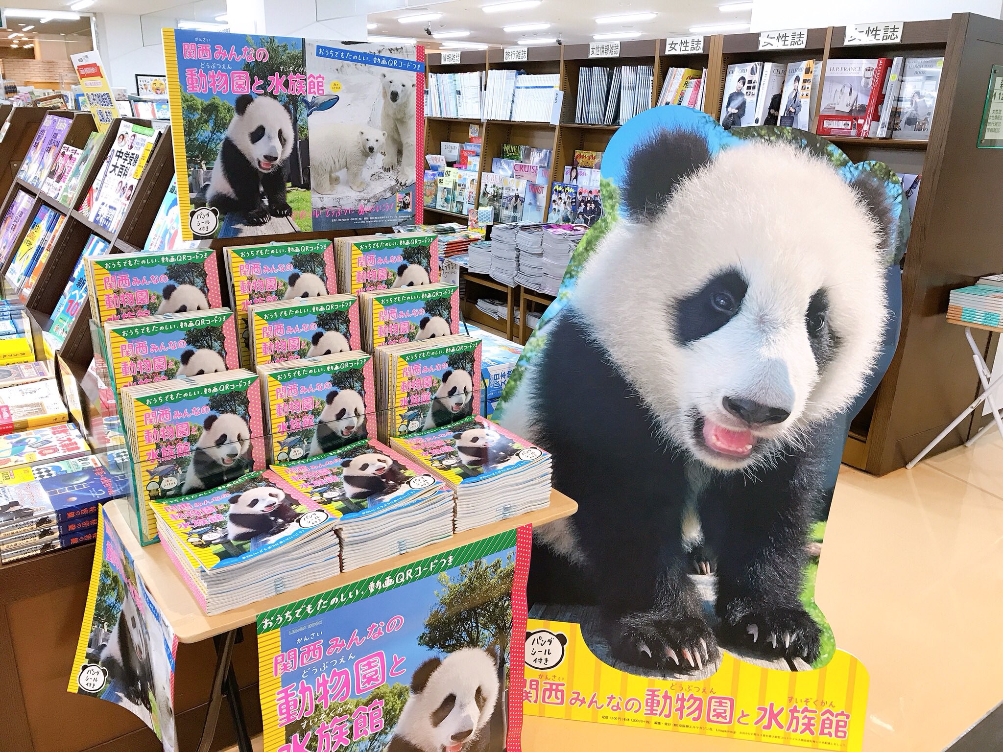 Tweets With Replies By あまぱん Amapan225 Twitter