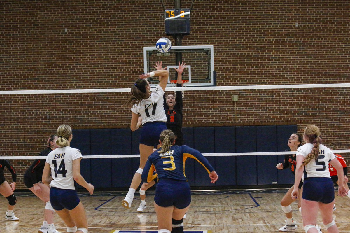 📸 Shots from today’s match | @ehcvolleyball vs. Milligan 🏐#GoWasps | #BlueCollarGoldStandard