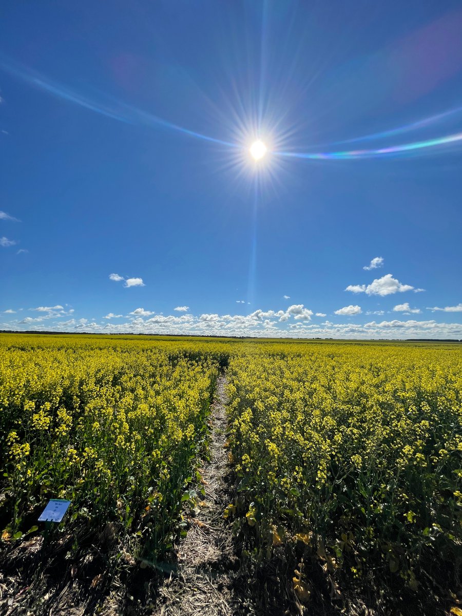 Jeremy Curry tweet media