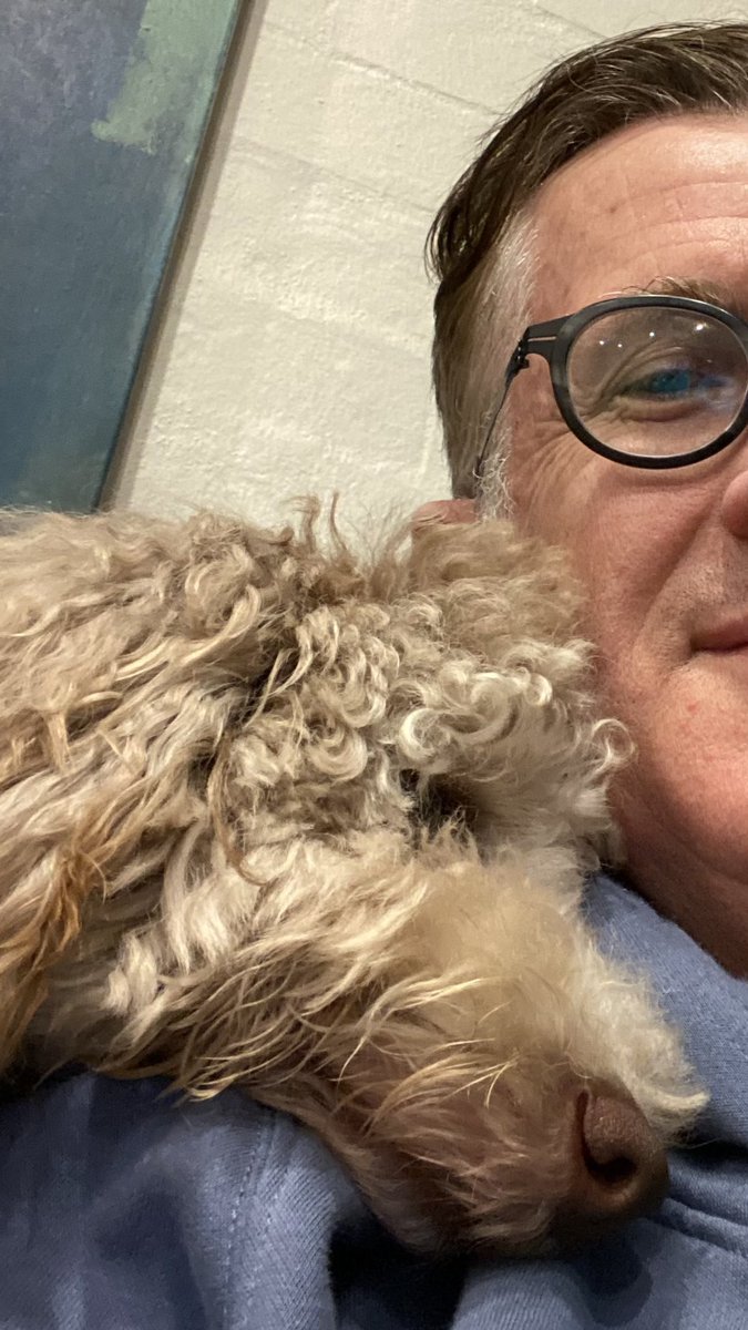 AleksOwczarek's tweet photo. @ellenmfanning What a feeling! #dogsofcovid #ObiTheLabradoodle https://t.co/zM0y1Dt8Du