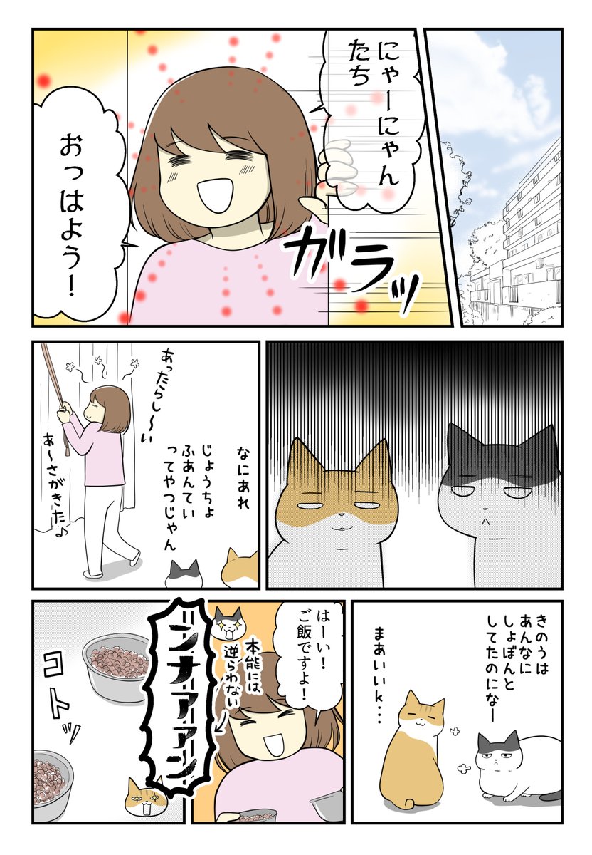 子供を諦めた私と猫たちと(2/4) 