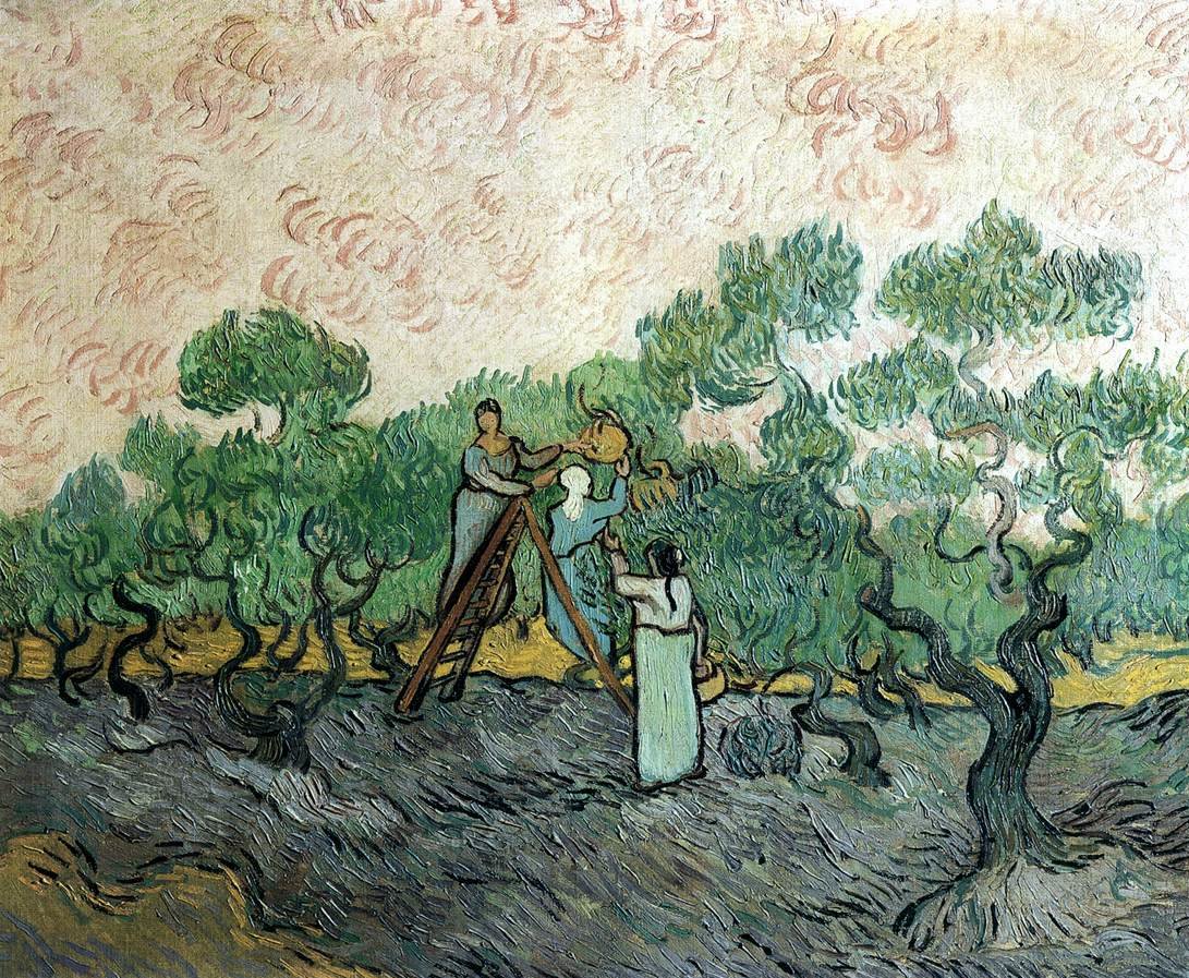 vangoghartist's tweet photo. Women Picking Olives, 1889 #vangogh #vincentvangogh https://t.co/6GlcOYqQtp