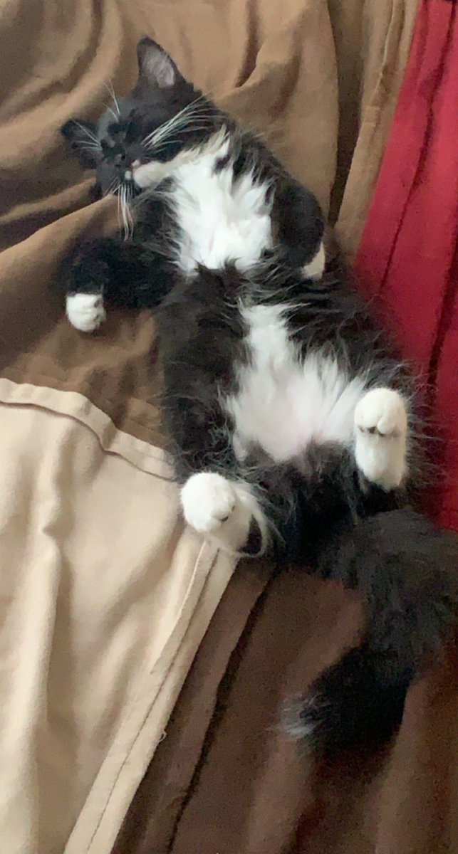 Winston on Twitter lolllll