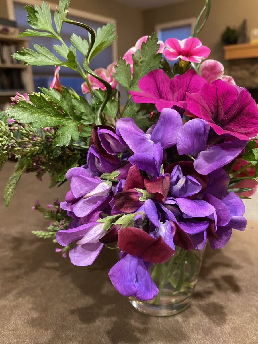 MommyMermaid_'s tweet photo. Hello beauties! ⁦@sweetpeasociety⁩ https://t.co/elfkY7cPZj