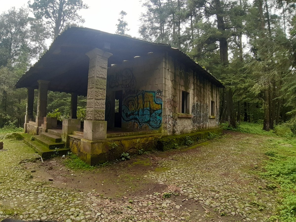 Colonia Granjas Navidad CDMX tweet media