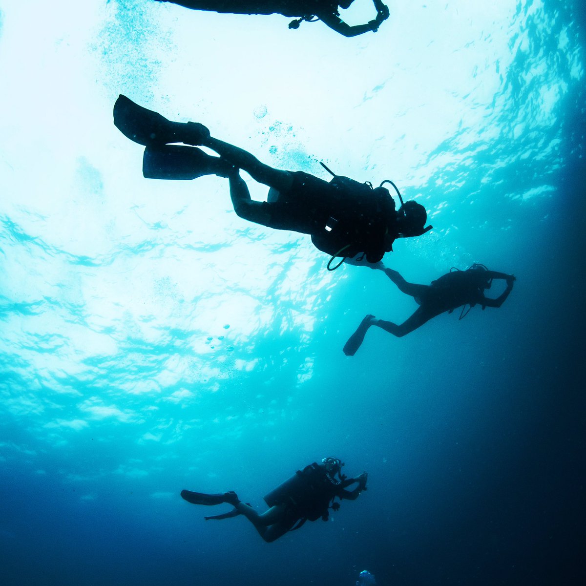 A lot of times it’s very healthy to take a good look under the surface! #abetterworld #adventuretime #careerdevelopment #idc2021 #Padi #surfacesolutions #living #paradise #islelife #diving #Bali #CrystalDivers #JoinUs #IFB