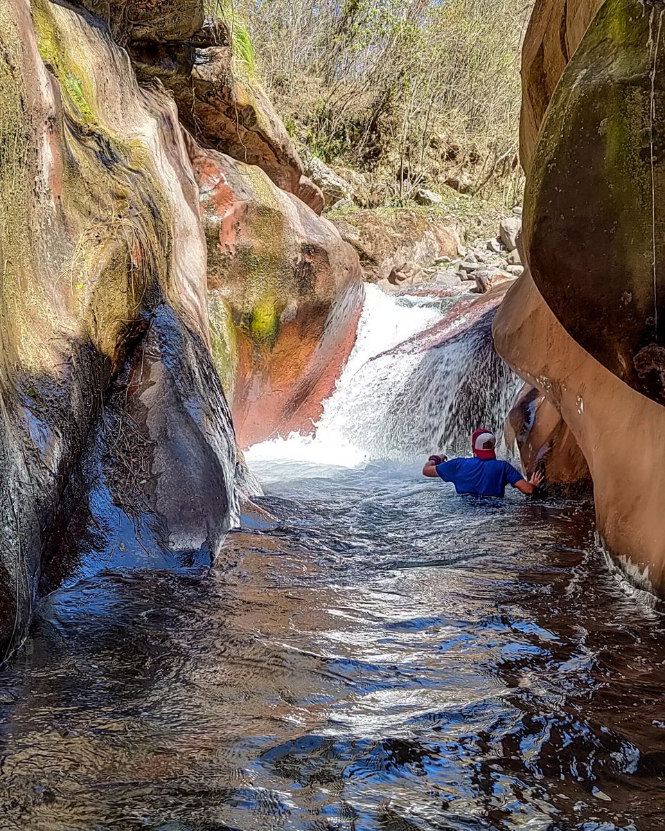 Sebastian Usandivaras tweet media