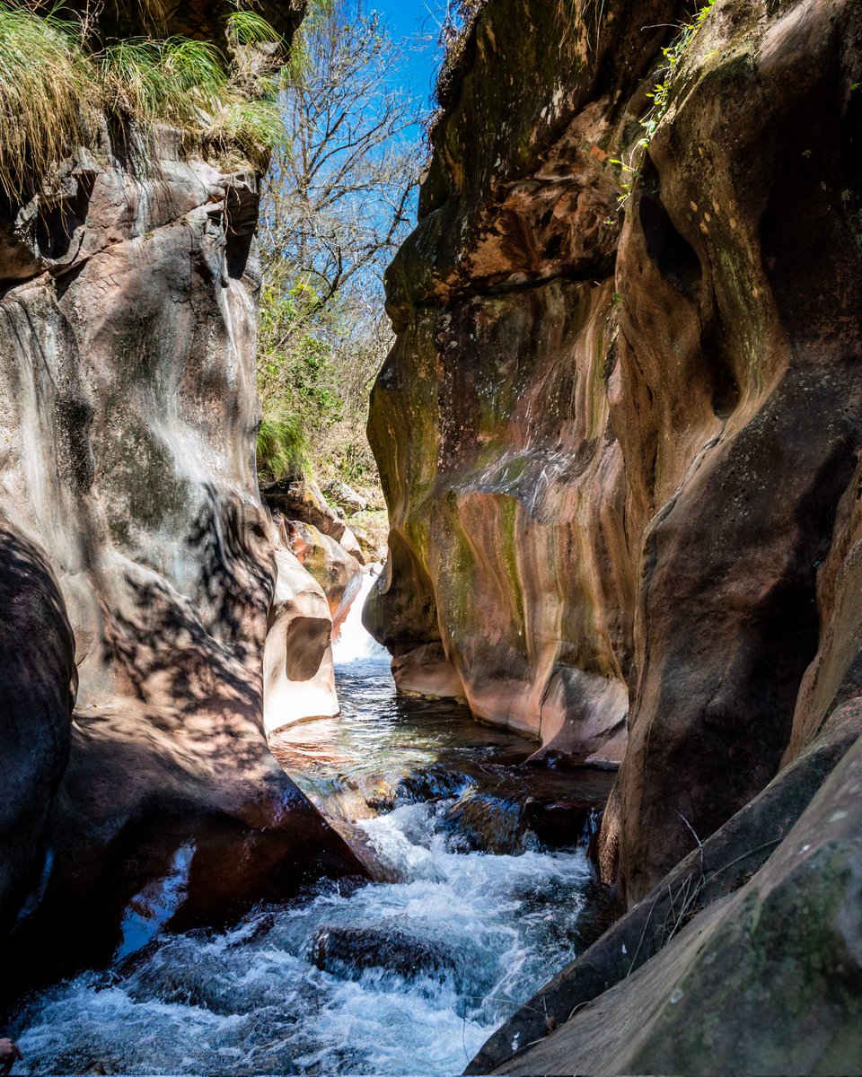 Sebastian Usandivaras tweet media