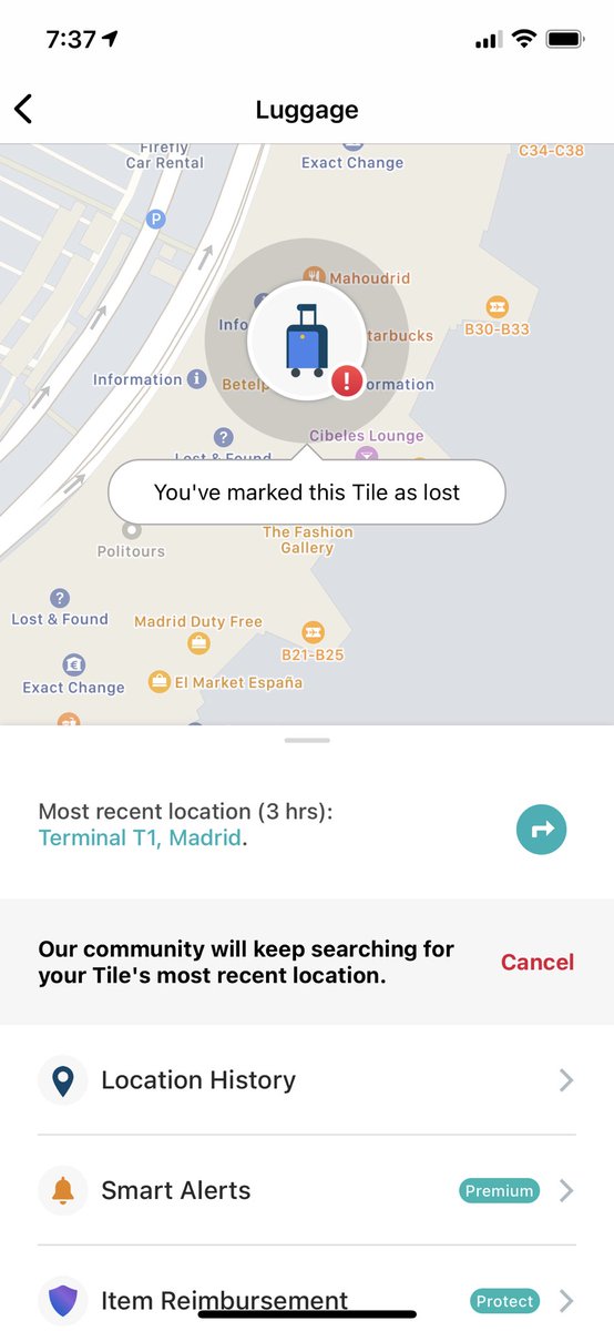 pierpa88's tweet photo. Landed in DR only to find @AirEuropa / @Alitalia forgot my luggage in Madrid. Over 24hrs and I’m left alone here with NOTHING on me, no answers. I am even able to locate my luggage as I have a @TheTileApp telling me it’s right there at the gate. What a ridiculous nightmare! HELP https://t.co/r5K2ypoG2O