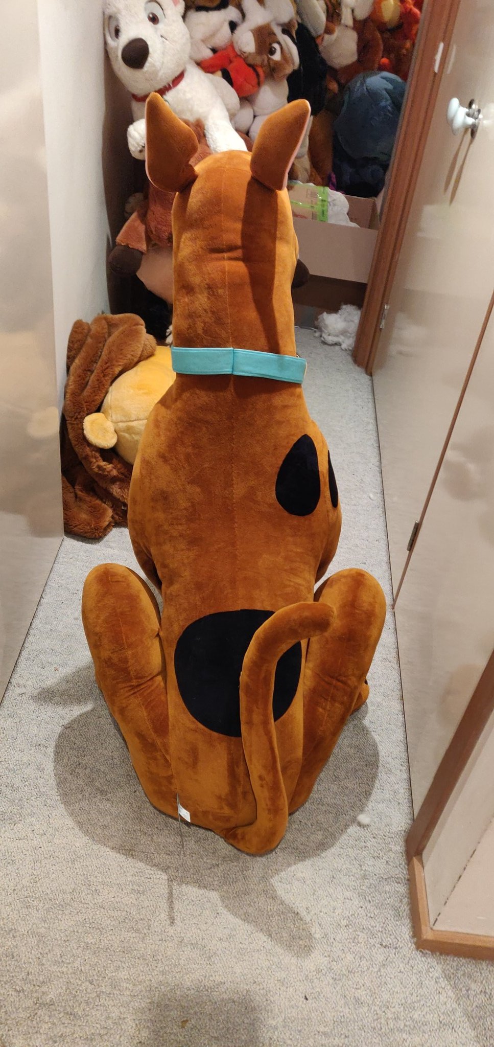 Snack on X Selling my big Scooby Doo plush. Really nice plush but he is just not getting the love he deserves here and I could use the cash to grab some