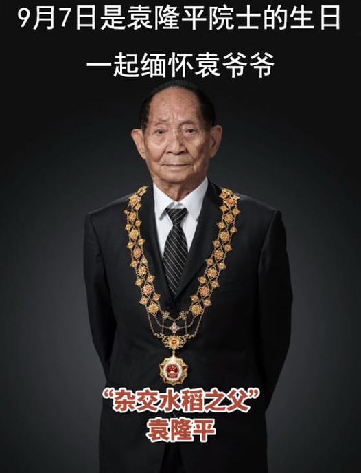 ChoyGin's tweet photo. 今天是袁隆平誕辰91週年
又到稻穗飄香的時候，彷彿袁老從未離開……
一日三餐米香瀰漫，讓我們一起緬懷袁老！
#袁隆平 #字正腔圓 #雜交水稻之父 https://t.co/p3Ncdnl0hI
