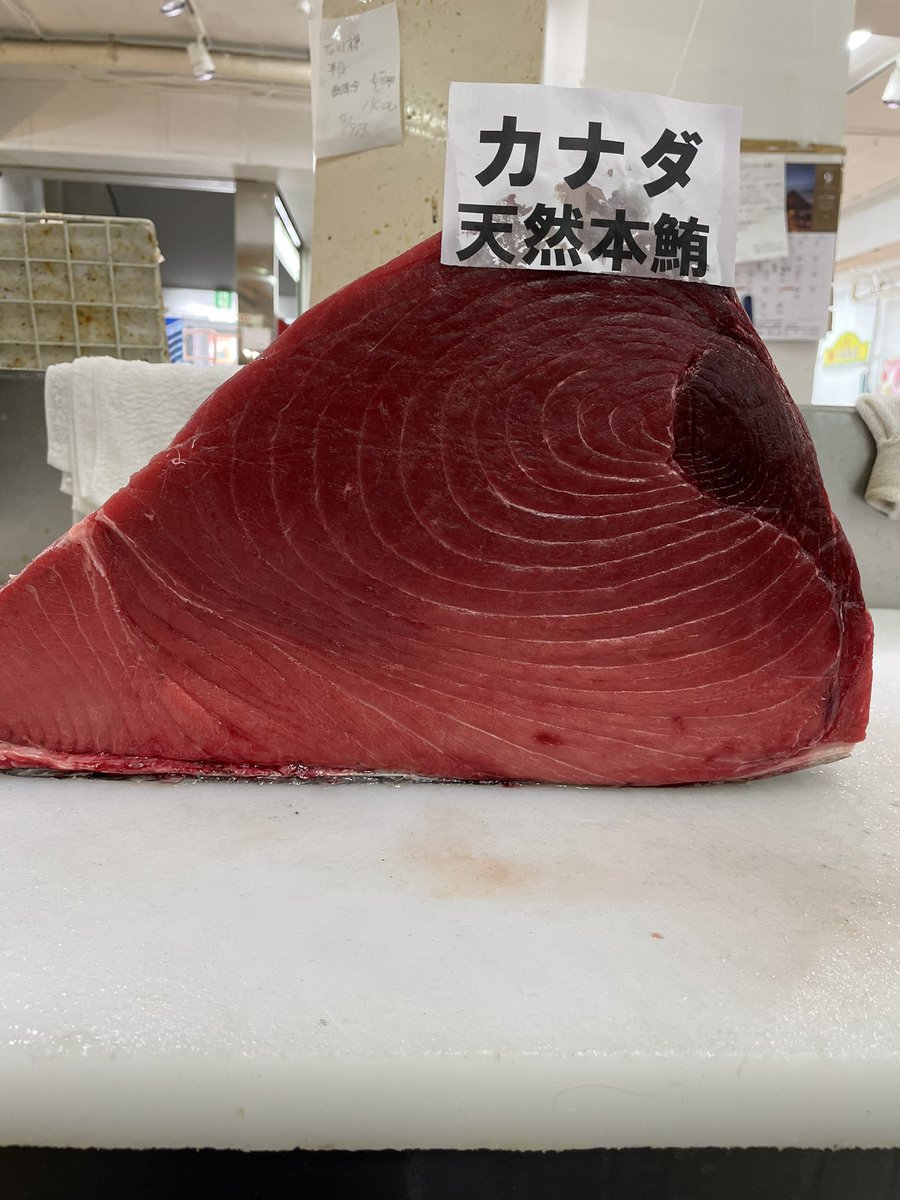 今日は約１年ぶりにカナダ産天然本マグロが入荷しました😀
今時期、国産マグロは塩釜産が夏頃から獲れていますが正直余り脂はないのです、旬と言われる冬は値段がなまら高いのです。
今日入荷したカナダ本マグロは脂最高、味も最高、値段もお買い求めやすい価格です。
是非食べてみて下さい。
#ことに