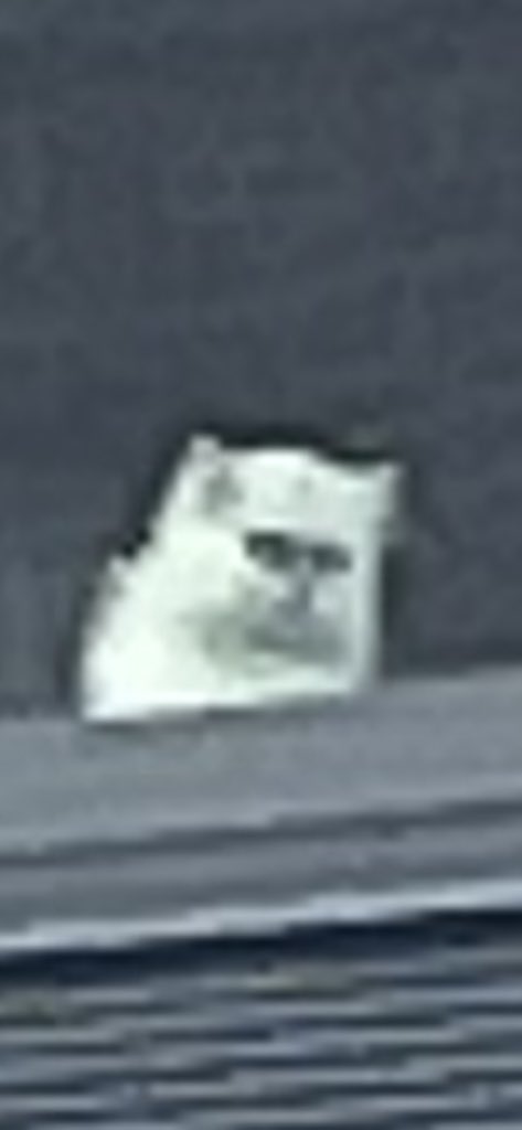 annikaaqc's tweet photo. I Fear Him https://t.co/amQ6FarsM6