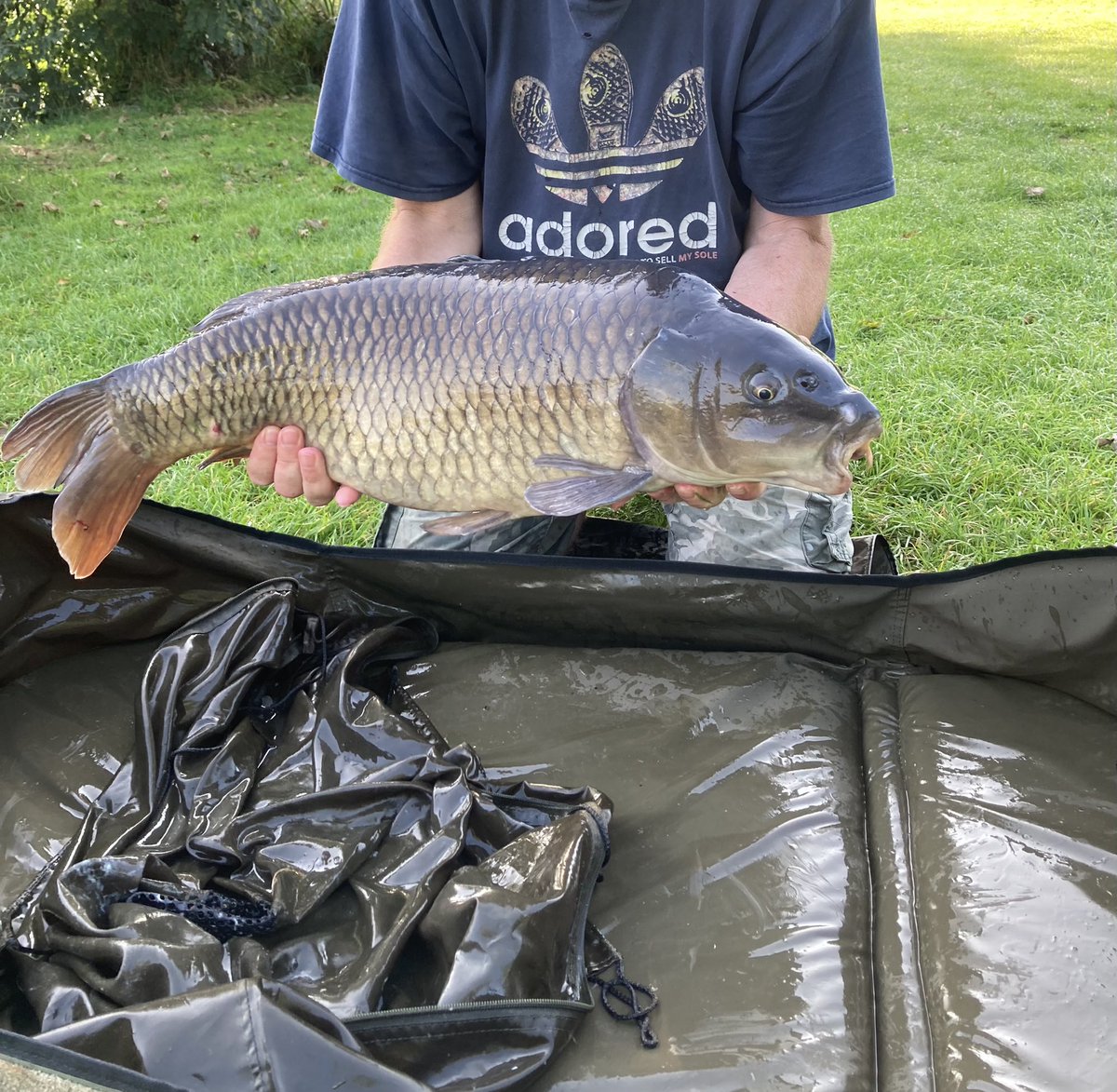mancman16's tweet photo. Mornin…! 

#StickyManilla
#fishing
#carpfever https://t.co/r1eErwNEkl