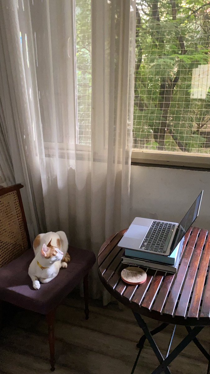 Finelychopped's tweet photo. Little Nimki is all ready to start his podcast. It’s titled #TheStringTheory https://t.co/oWOBcoktvD