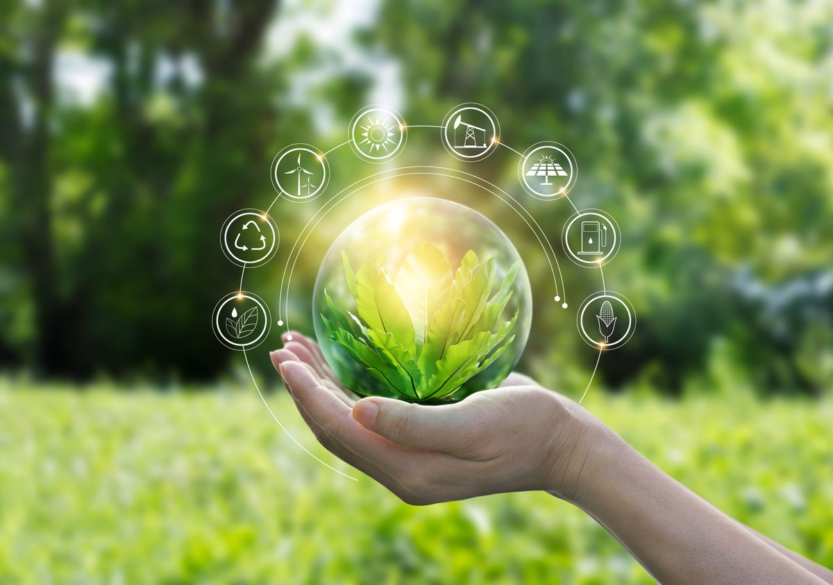 Tackling climate change is a huge issue, but SMEs can make a contribution to the UK’s targets by making small changes and improving sustainability. Check out our latest blog for our green tips to tendering!

bit.ly/3BIve4Y

#COP26 #PublicSectorTendering #Procurement