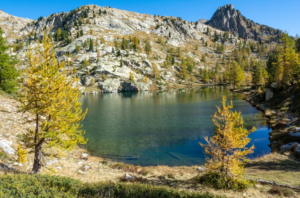 Création d'une nouvelle zone protégée dans les #AlpesMaritimes. #Nice06 #environnement 
avenir-cotedazur.net/actualites_988…