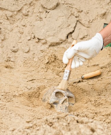 GoConstructUK's tweet image. Did you know the first road was built around 4,000 BC 🏗

Find out how roads are built today in 2021 and some of the #Construction job roles involved in the process. From designers to legal advisor, #Archaeologists and #PlantOperators, check it out 🔗 bit.ly/2WFg4Pj