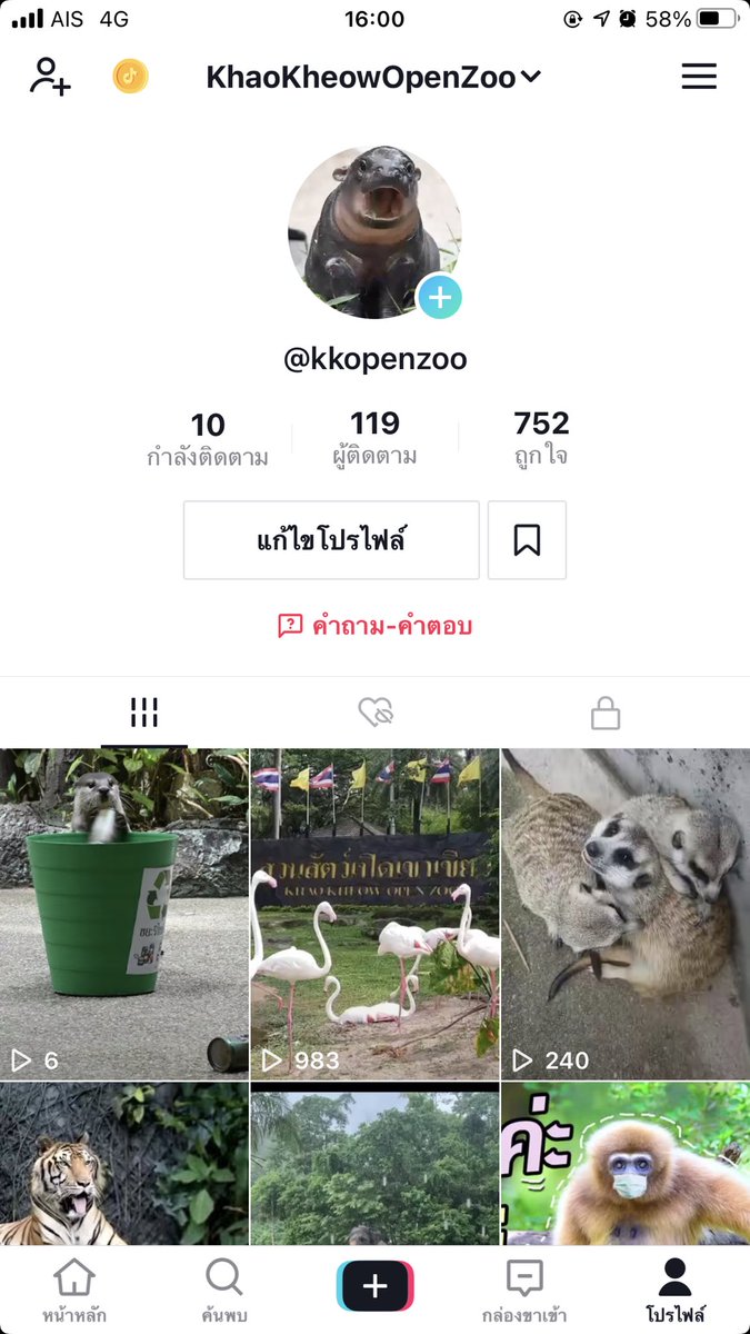 KhaokheowZoo's tweet photo. อยากรบกวนทุกๆท่านกดติดตาม TikTok อีกหนึ่งช่องทางของสวนสัตว์เปิดเขาเขียวหน่อยนะครับ https://t.co/hE9P9pGYff