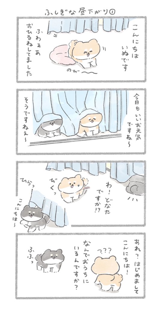 ふしぎな昼下がり①
#こんにちはいぬです 