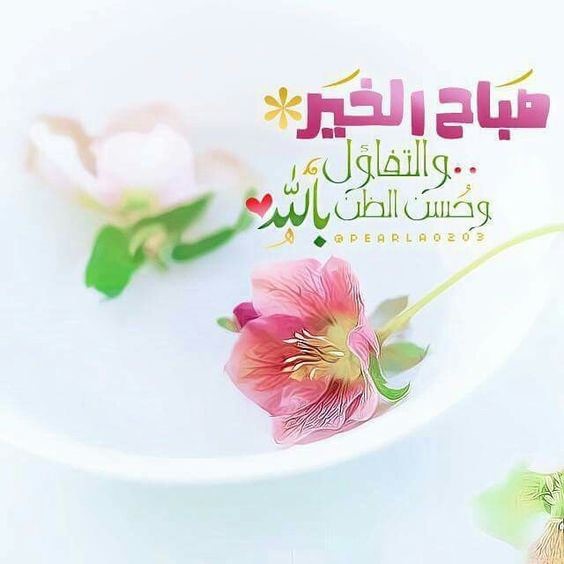 #السعاده 🌸
(لَيست حلماً ولا وَهماً ولا بأمر
 مُحال ! بَل هيِ تفَاؤل وحُسن ظَن بالله
 وصَبر بغيِر إستعجَال )

#صباح_الخير_والسعاده 🌷